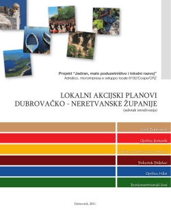 lokalni akcĳski planovi dubrovačko