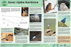 Tabla 4 - Izvor Rijeke Kari&scaron;nice