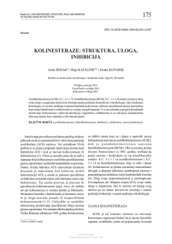 Cholinesterases: Structure, Role, and Inhibition