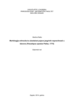 Morfologija eritrocita te učestalost pojave jezgrinih nepravilnosti u