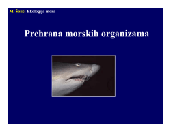 M. Šolić: Ekologija mora