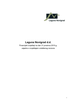 2010 - Q4 - Laguna Novigrad