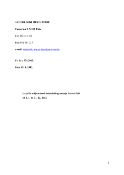 GODIŠNJI IZVJEŠTAJ AMI-a ZA 2012 GODINU