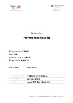 Profesionalni slastičar