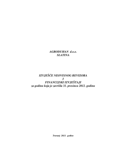 Izvje&scaron;će neovisnog revizora za 2012. godinu