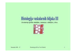 Unutarnja građa stabljike, rastenje u debljinu, drvo