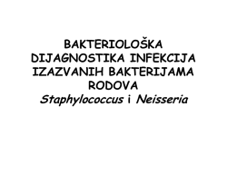 Staphylococcus i Neisseria