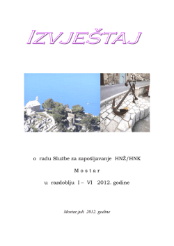 Izvje&scaron;taji o radu od I do VI.2012