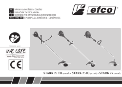 STARK 25 IC (25.4 cm3) - STARK 25 (25.4 cm3)