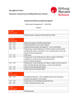 Sprungbrett program za poster