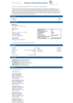 Business Information Report DIV d.o.o.
