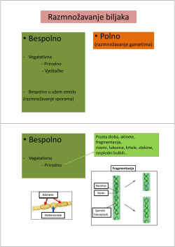 Predavanje IV D Razmnožavanje biljaka 1.10.2012. godine