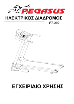 Pegasus FT-300 _3000BF-16 HRC_ Greek Manual