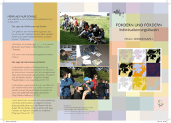 Fordern und F&ouml;rdern Individualisierungsklassen