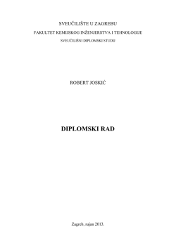 Robert Joskić diplomski rad
