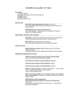 CURRICULUM VITAE - International University of Sarajevo