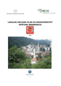 LBAP dokument Op&scaron;tina Srebrenica
