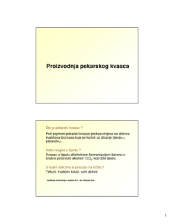 Proizvodnja pekarskog kvasca