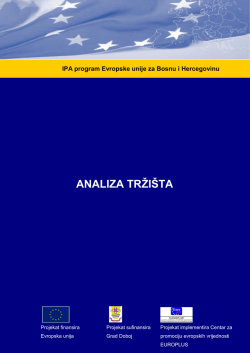 CCU_Analiza trži&scaron;ta