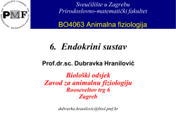 adenohipofiza - Sveučili&scaron;te u Zagrebu