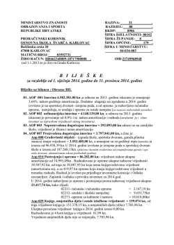 Biljeske uz financijski izvjestaj.pdf