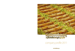 company profile 2011