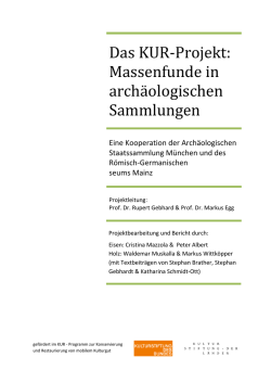Volltext (pdf &ndash; 6.2 MB)