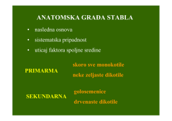 PRIMARNA ANATOMSKA GRA&ETH;A STABLA MAHOVINE