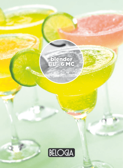 blender BL - 6 MC