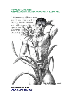 &kappa;&upsilon;&rho;&iota;&alpha;&kappa;&omicron;&upsilon; &tau;&alpha;&pi;&alpha;&kappa;&omicron;&upsilon;&delta;&eta; &chi;&lambda;&omega;&rho;&alpha;&kappa;&alpha;, &mu;&epsilon;&rho;&iota;&kappa;&eta; &chi;&lambda;&omega;&rho;&iota;&delta;&alpha; &kappa;&alpha;&iota; &theta;&epsilon;&rho;&alpha;&pi;&epsilon;&upsilon;&tau;&iota;&kappa;&alpha;