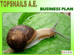 BUSINESS PLAN