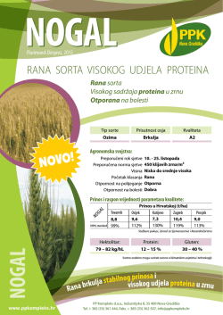 RANA SORTA VISOKOG UDJELA PROTEINA