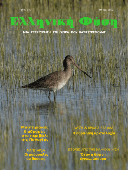 File - &epsilon;&lambda;&lambda;&eta;&nu;&iota;&kappa;&eta; &phi;&upsilon;&sigma;&eta;