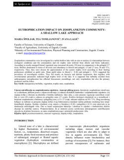 Eutrophication Impact on Zooplankton Community: A Shallow Lake
