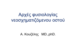 Bone Formation, Growth, and Remodeling