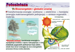 Fotosinteza - Biolozi 2011/12