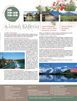 Αλπική Ελβετία - Thiamis Tours Τουριστικό γραφείο