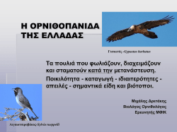 Τα πτηνά (Μ. Δρεττάκης, Σ. Ξηρουχάκης) - Fauna of Greece