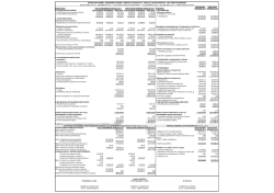 Ισολογισμός 2013