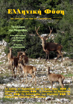 File - &epsilon;&lambda;&lambda;&eta;&nu;&iota;&kappa;&eta; &phi;&upsilon;&sigma;&eta;