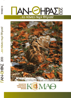 ΜΠΟΡΕΙΤΕ ΝΑ ΚΑΤΕΒΑΣΕΤΕ ΟΛΟ ΤΟΝ ΠΑΝΘΗΡΑ του 2013 εδώ