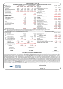 SYNERGY IN SUPPLY CHAIN &Alpha;.&Epsilon;. - Synergy