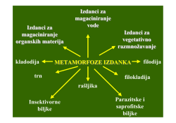 metamorfoze izdanka izdanci za magacioniranje organskih