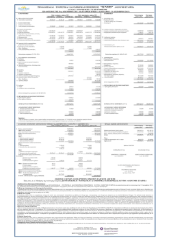 &Iota;&sigma;&omicron;&lambda;&omicron;&gamma;&iota;&sigma;&mu;ό&sigmaf; 2013 SUNTOS S.A