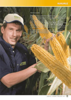 kukuruz - fao 400 - RWA Raiffeisen Agro