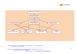 organizational chart