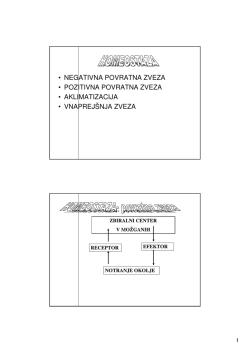 negativna povratna zveza &bull; pozitivna povratna zveza &bull; aklimatizacija