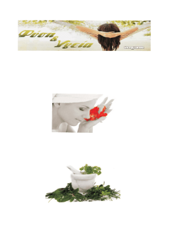 Vorderblatt Neu Kat Fysi