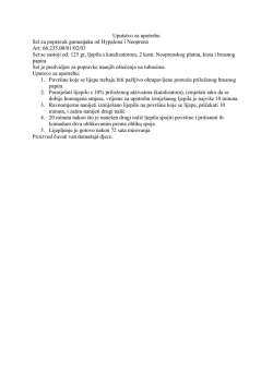 Uputstvo za upotrebu Set za popravak gumenjaka od Hypalona i