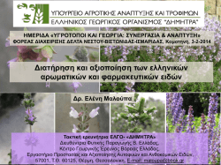 (Melissa officinalis) Lamiaceae